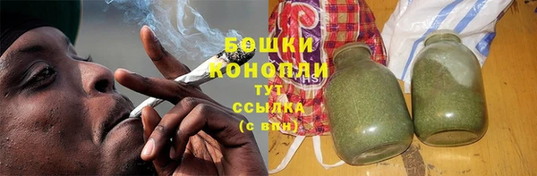 тгк Вяземский