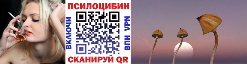 Галлюциногенные грибы Cubensis  даркнет сайт  Ноябрьск 