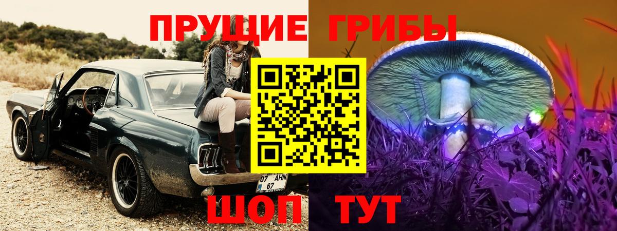 Псилоцибиновые грибы MAGIC MUSHROOMS  Псилоцибиновые грибы GOLDEN TEACHER  Ноябрьск  Вход с VPN 